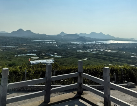 平度大澤山葡萄園引進(jìn)萊恩德土壤肥料檢測(cè)儀， 輕松掌握土壤營(yíng)養(yǎng)